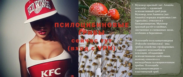 mdma Богородицк