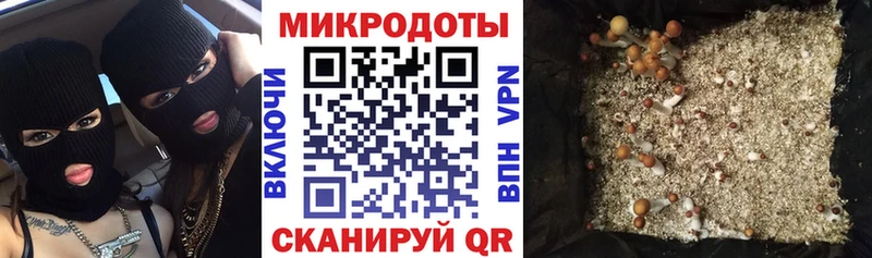 Купить закладки  Бердск  Галлюциногенные грибы MAGIC MUSHROOMS 
