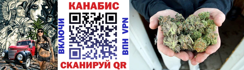 Купить закладки  Бердск  Каннабис сатива 